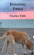 Floating Twigs Front Cover